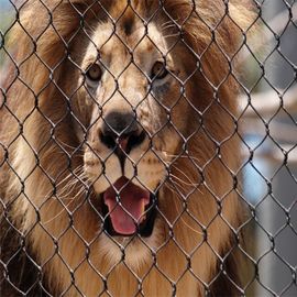 Ячеистая сеть зоопарка нержавеющей стали 304 анти- сдерживая для сетки льва животных защитной ограждая