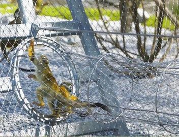 Тип сетка 316 Ферруле зоопарка нержавеющей стали веревочки кабельной проводки для плетения птицы сети Авяры